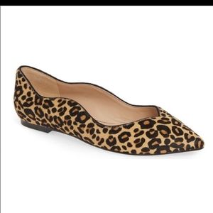 Sam Edelman pointy toed leopard print  flats